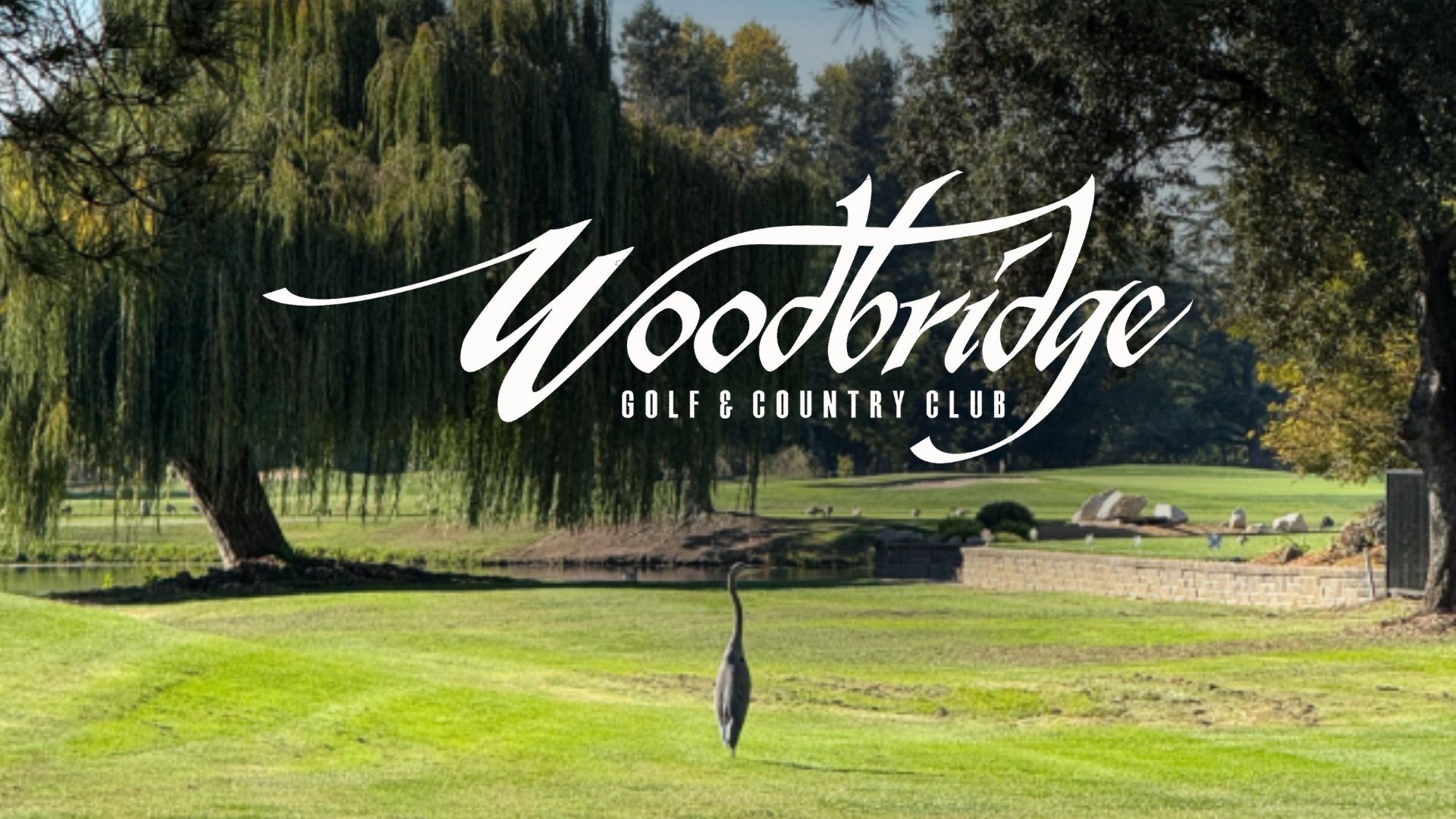 novembeer at Woodbridge